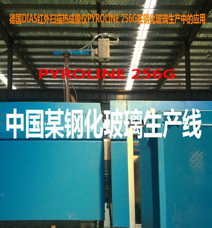 ��(gu��)DIAS�t��������xPYROLINE256G��䓻��������a(ch��n)��(xi��n)�đ�(y��ng)��